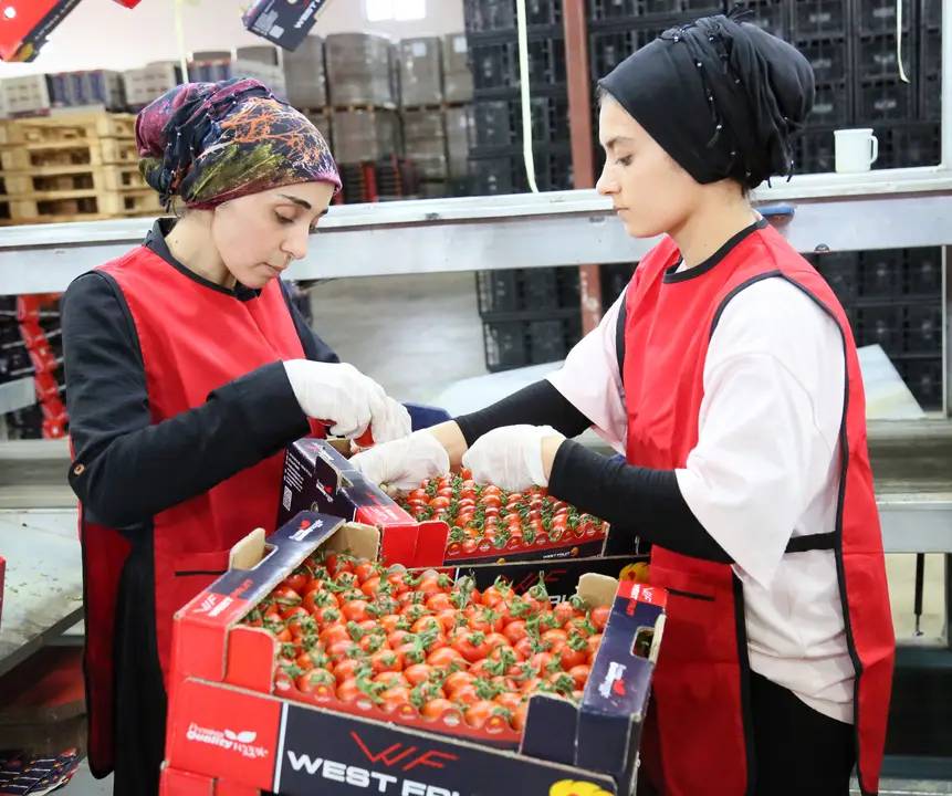 Antalya’dan Ukrayna’ya Domates Diplomasisi 4